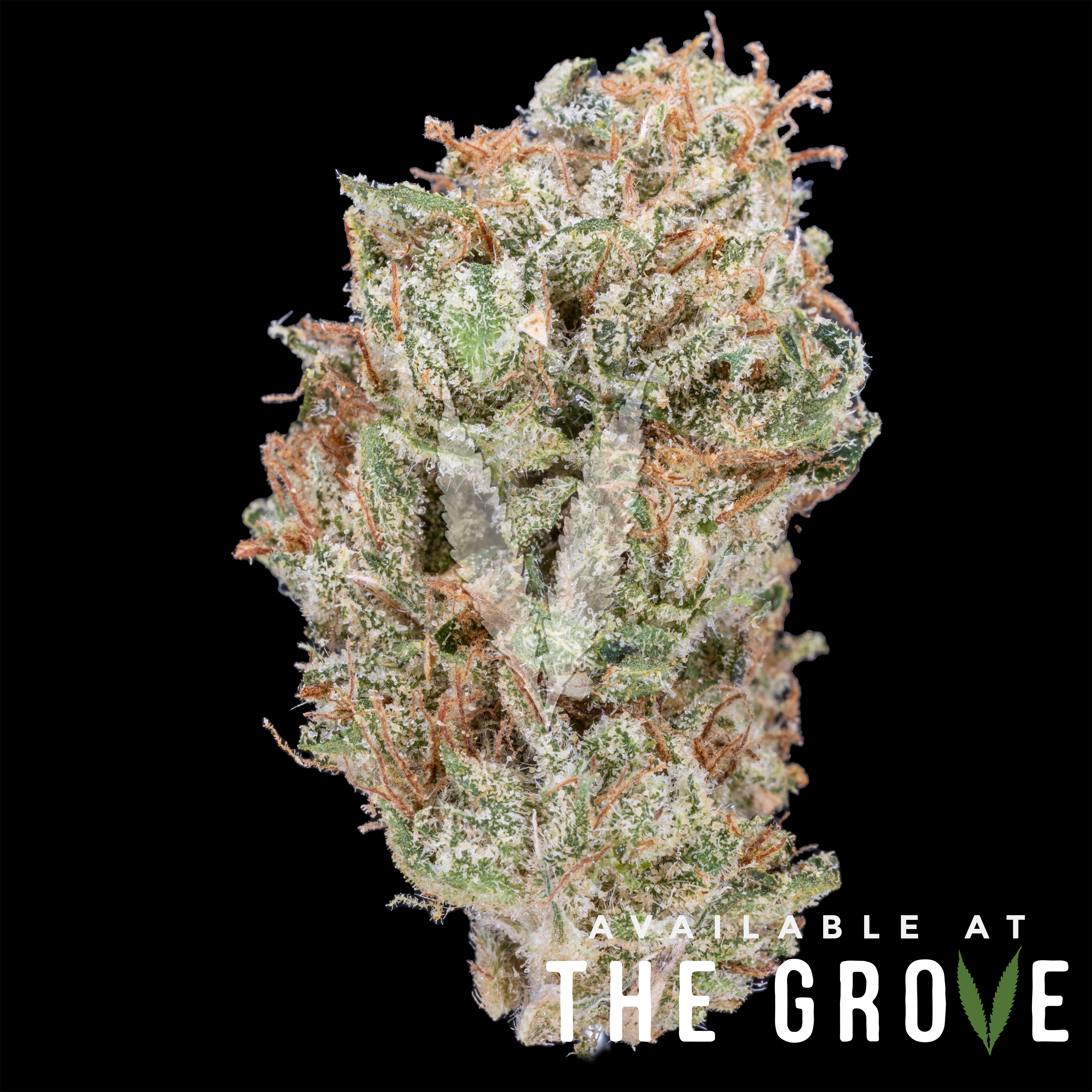 Photograph of product: Nameless Genetics | Mega Wellness 1/8th - 3.5g