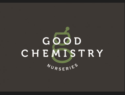 Photograph of product: Good Chemistry - Cherry | 100MG Edibles