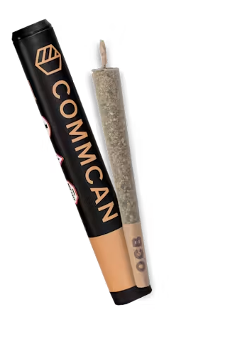 Photograph of product: Sour Diesel x Animal Cookies Pre-Roll | 1g