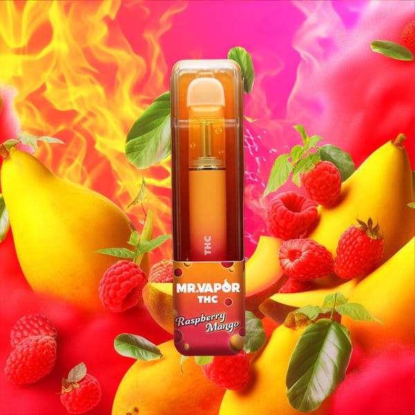 Photograph of product: Mr. Vapor | 1g | Disposable | Raspberry Mango