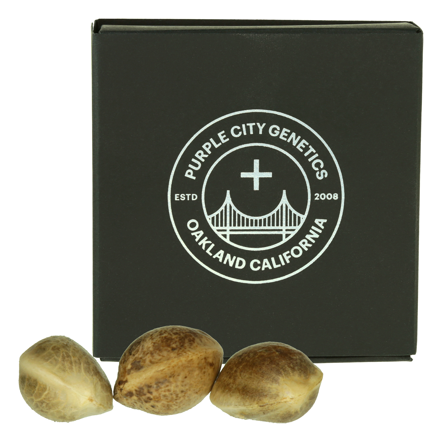 Photograph of product: The Bridge Strain - Oui'd  Oui'd Seeds 10pk | Purple City Genetics