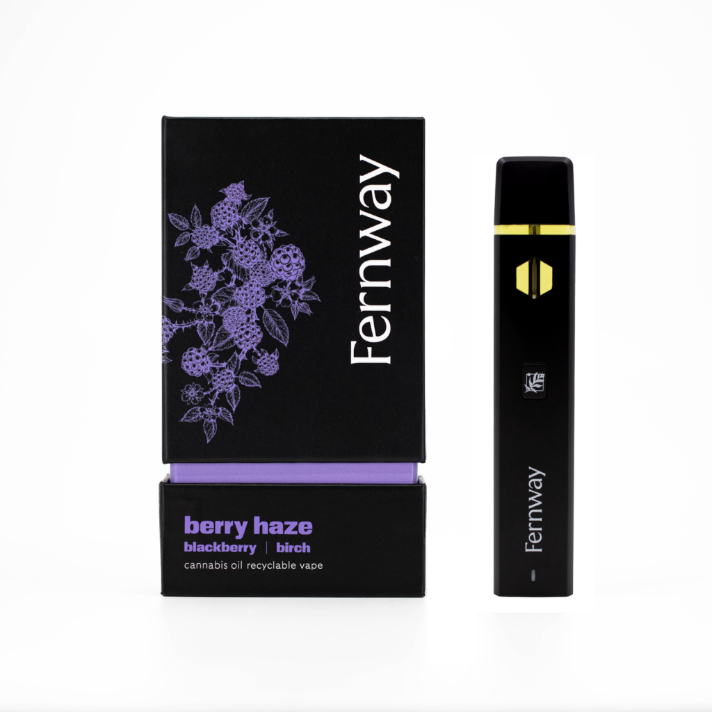 Photograph of product: Berry Haze - 1g Disposable - Fernway