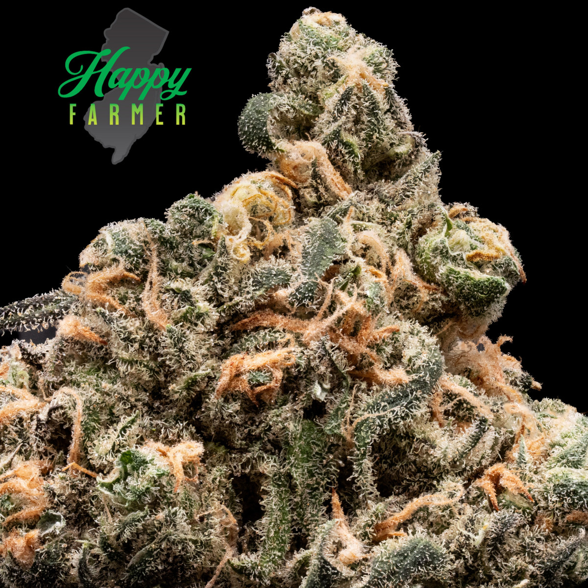 Photograph of product: The Happy Farmer - Blue Dream - 3.5g Flower