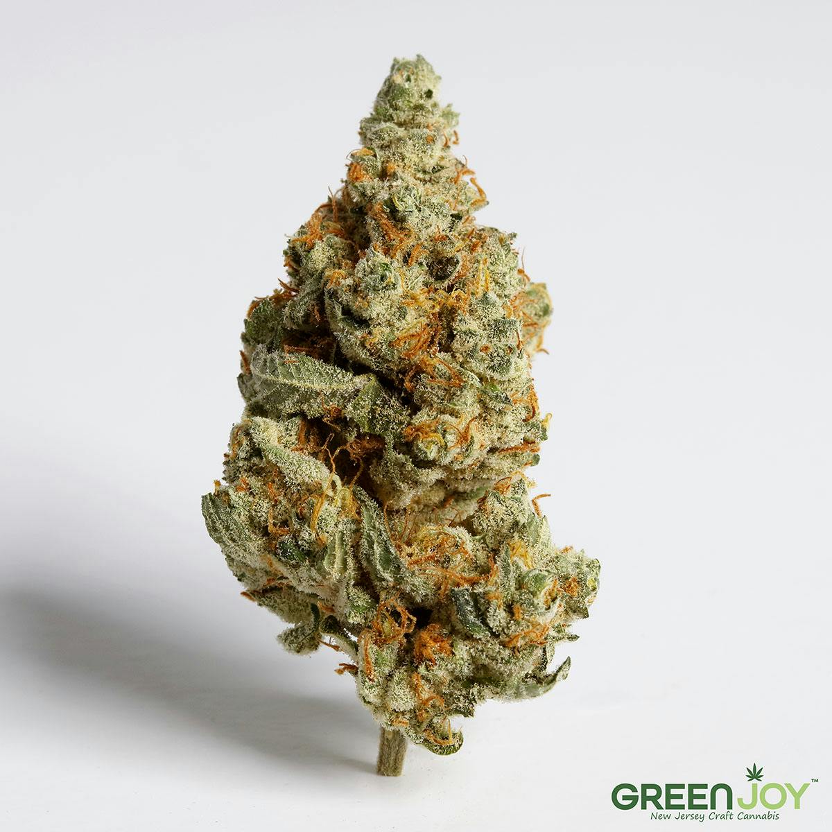 Photograph of product: Banana Cookies | 4.5g