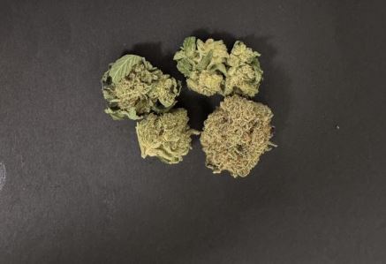 Photograph of product: PB MFN Whole Flower T29.20 (3-00917) - 3.5g