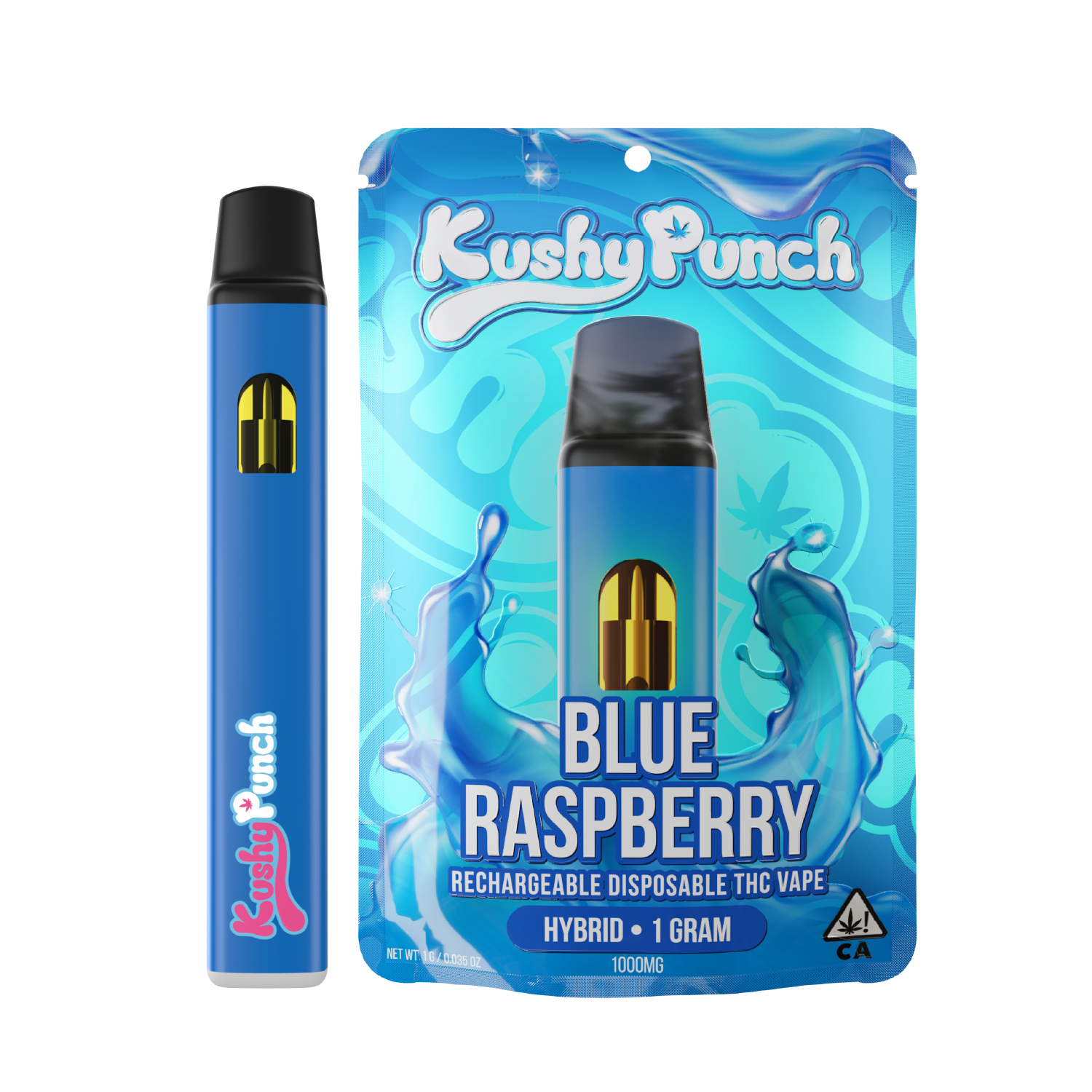 Photograph of product: Blue Raspberry Disposable Vape | 1g
