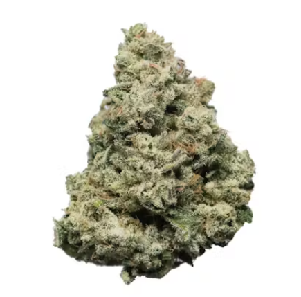 Photograph of product: Proper - Headband - Deli Flower - 84g