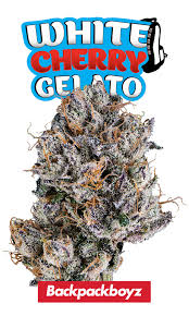 Photograph of product: White Cherry Gelato 3.5 - 3.5g