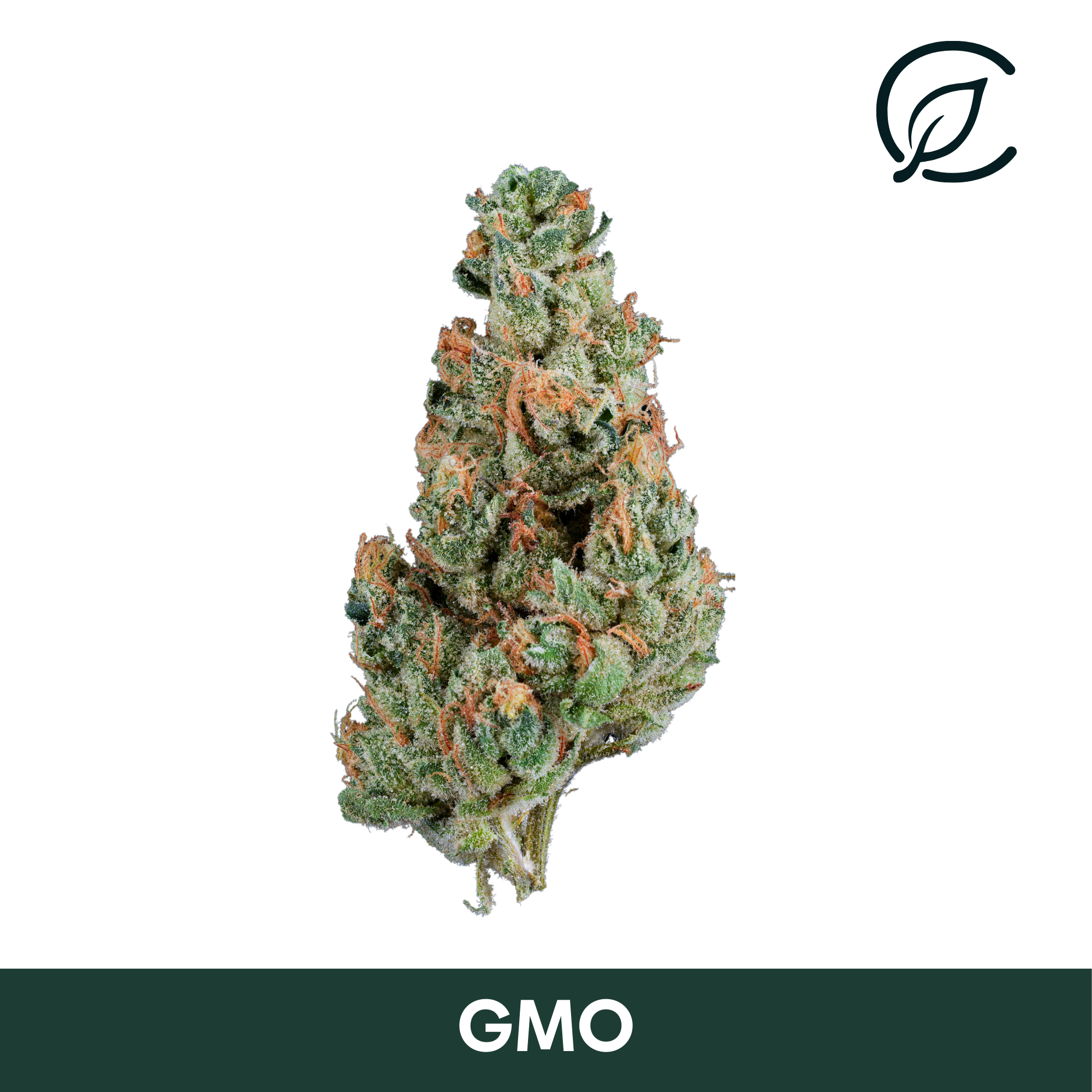 Photograph of Product: CURALEAF | GMO | Preroll (Minis) 5pck | 2g
