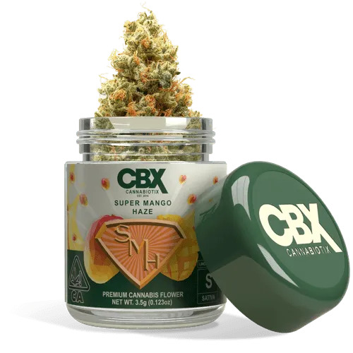 Photograph of product: Super Mango Haze 3.5g Jar - CBX