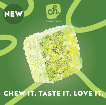 Photograph of product: Chew Sour Green Apple Gummies H 00312