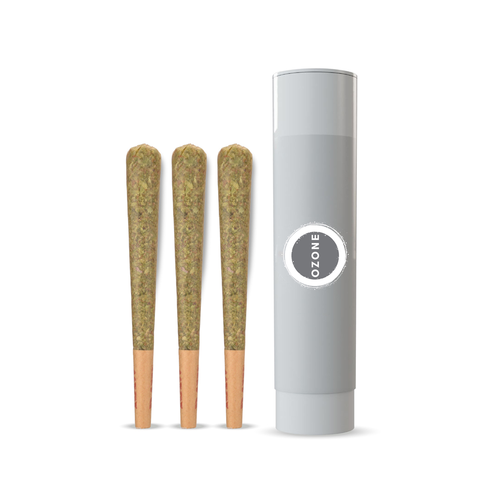 Photograph of product: Preroll 3pk - Robusta #4