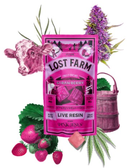 Photograph of product: STRAWBERRY LIVE RESIN CHEWS O6