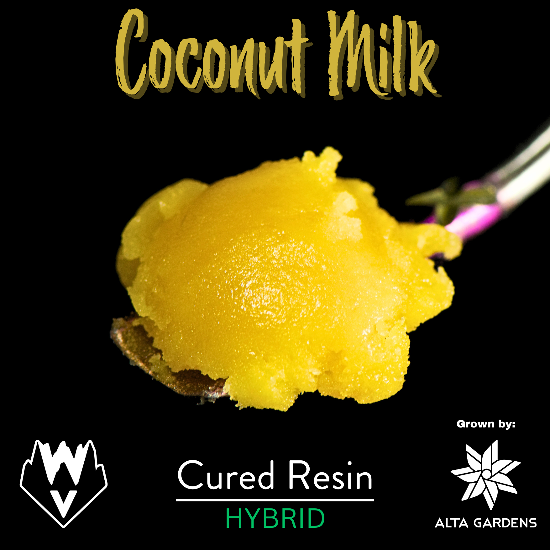 Photograph of product: Willamette Valley Alchemy - Cured Badder - Coconut Milk