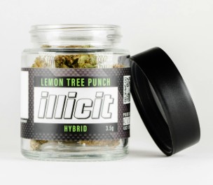 Photograph of product: Lemon Tree Punch - Flower 3.5g