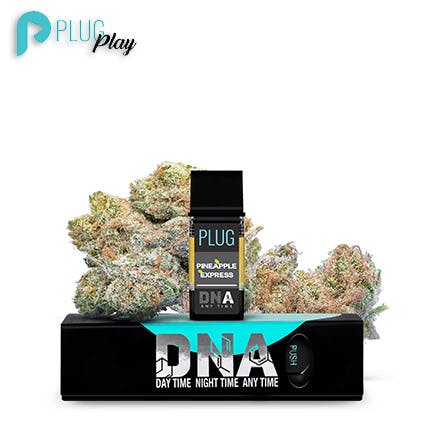 Photograph of product: PLUGplay DNA - Pineapple Express PLUG - 1g - Full Gram