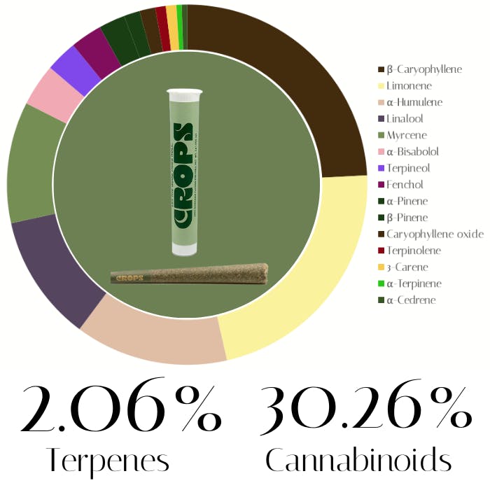 Photograph of product: Watermelon Mint by Crops | Pre-Rolls | 1.0g