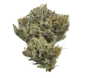 Photograph of product: Sweet Cinnamon Octane-3.5g || Grow West