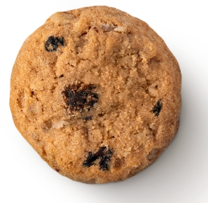 Photograph of product: Oatmeal Rasin Cookies (Oui'd) | Hippie Bliss | 200mg (20x10)