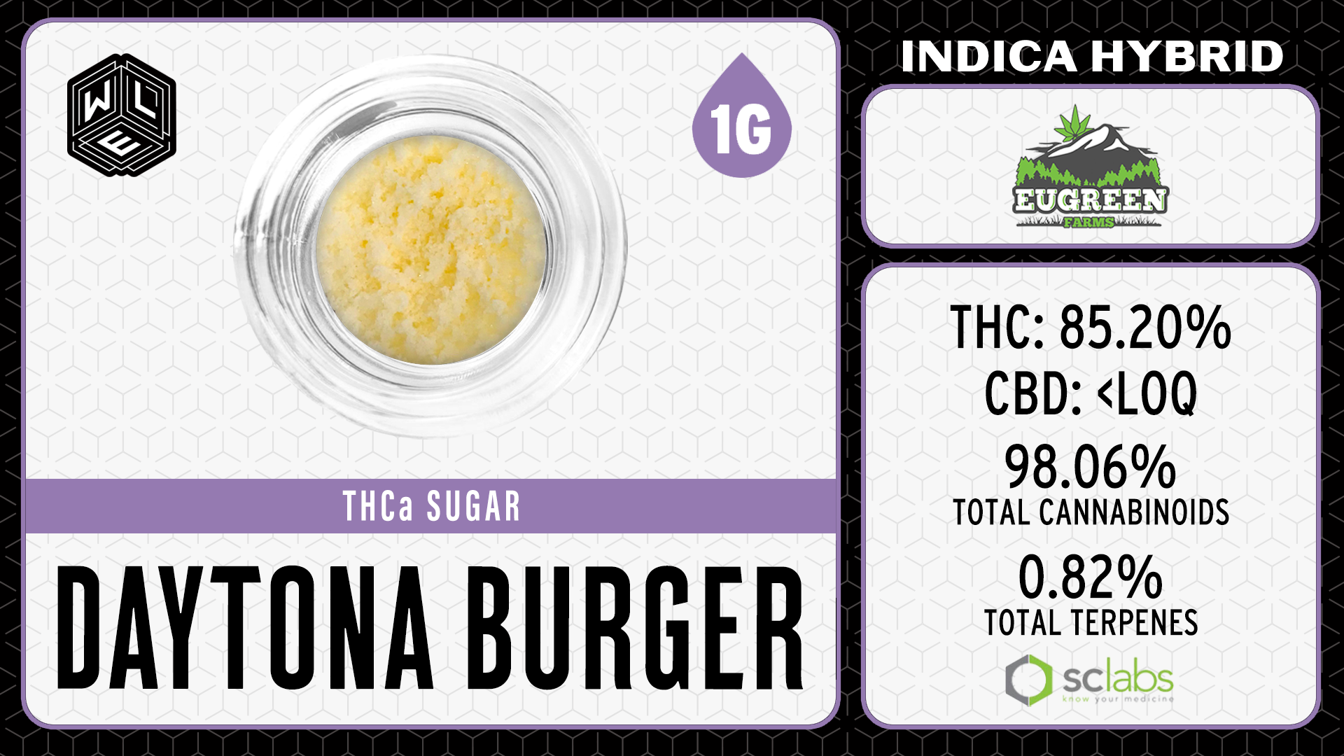 Photograph of product: WLE | Daytona Burger TH-ouia