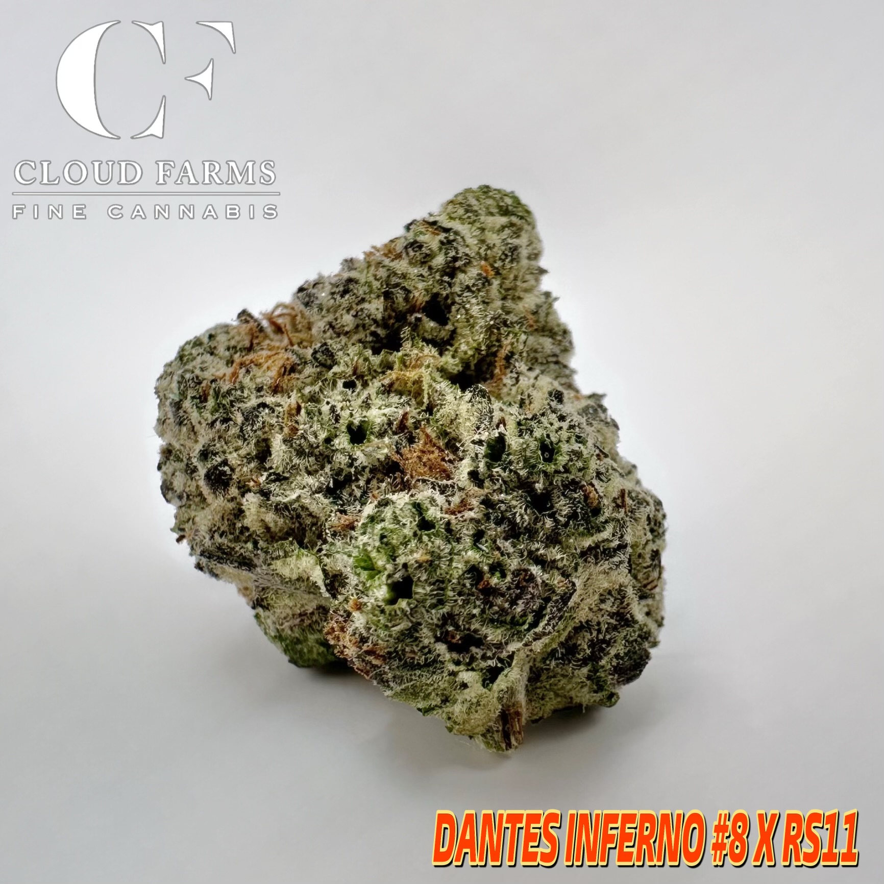 Photograph of product: Cloud Farms | Dante's Inferno x RS11 - 28g