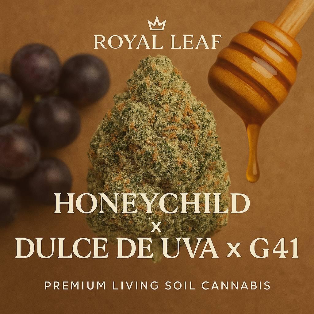 Photograph of product: Honey Child | Flower | 3.5G