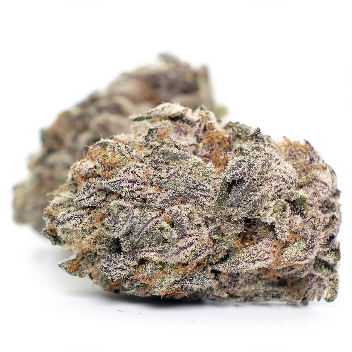 Photograph of product: SHERBANGER 22 - 7 G