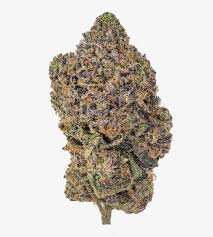 Photograph of product: Flower | Dumb B | Grip - 28g