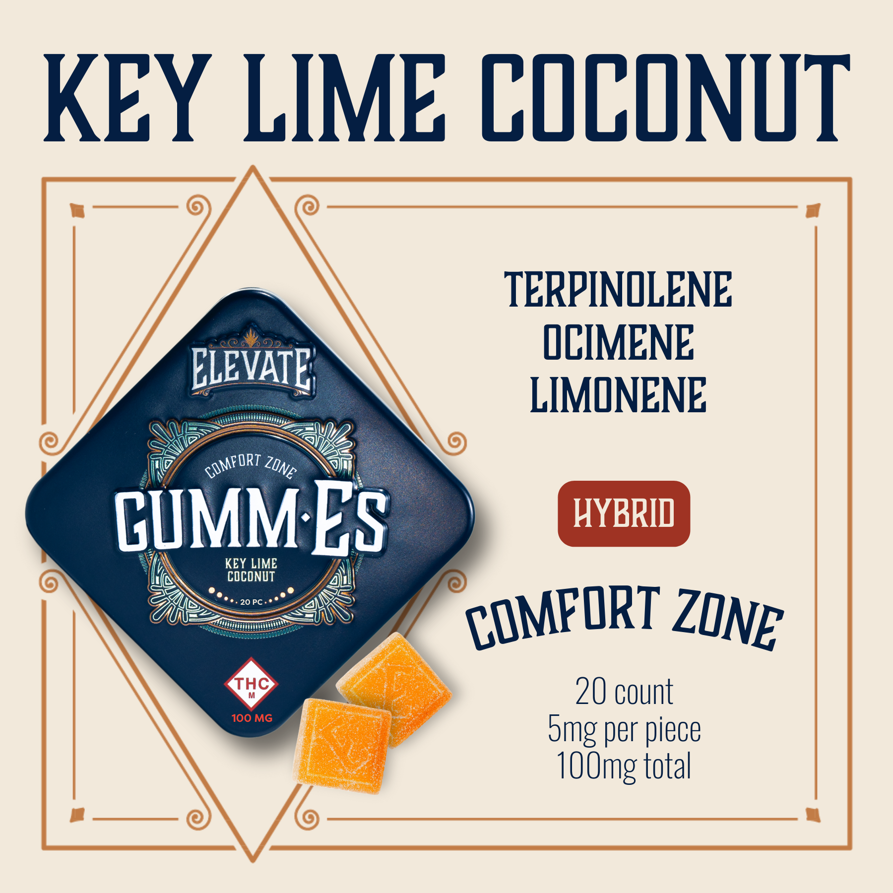 Photograph of product: Elevate | Gummies | Key Lime Coconut 20pk 100mg