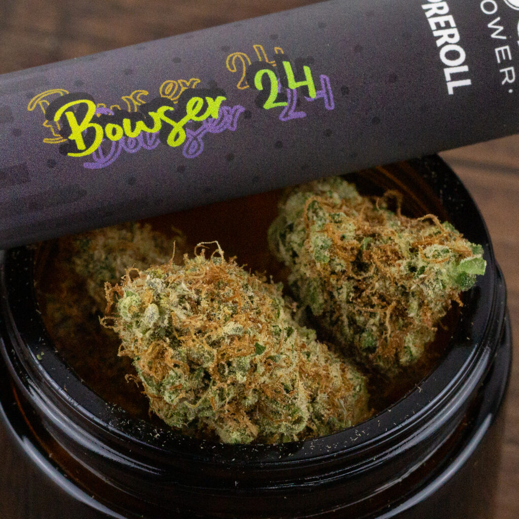 Photograph of product: Bowser 24 | MI LOUD