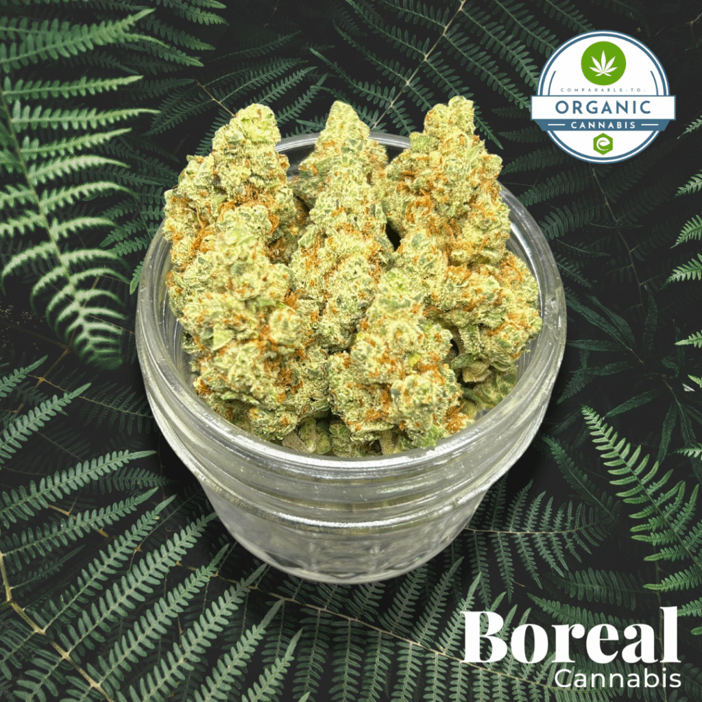 Photograph of product: Boreal | Morning Diesel | Bulk Flower - 28g