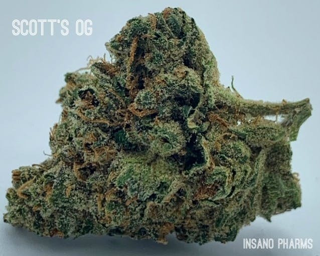 Photograph of product: Scott's OG 14g by Insano Pharms