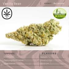 Photograph of product: Apothecare | Vanilla Bean | Bulk Flower - 28g
