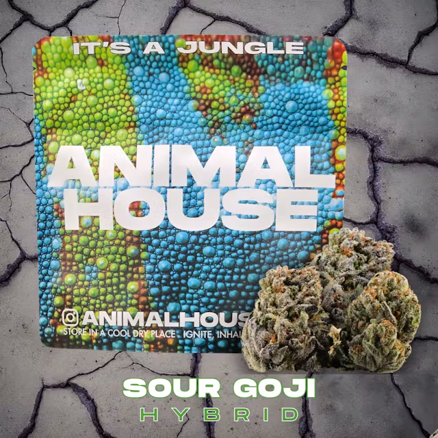 Photograph of product: Animal House | Sour Goji | Sunlight Assisted Indoor Flower | 3.5g