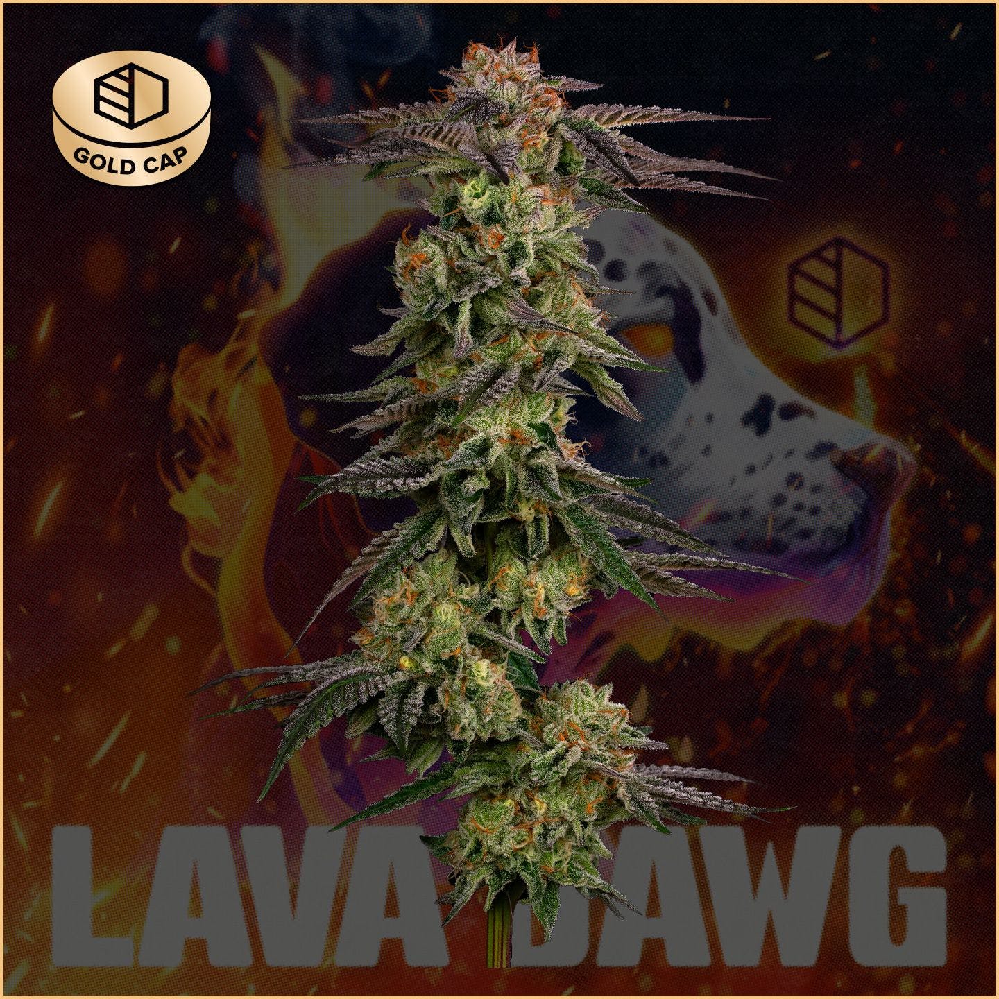 Photograph of product: Lava Dawg (TAX INCLUDED) - 28g