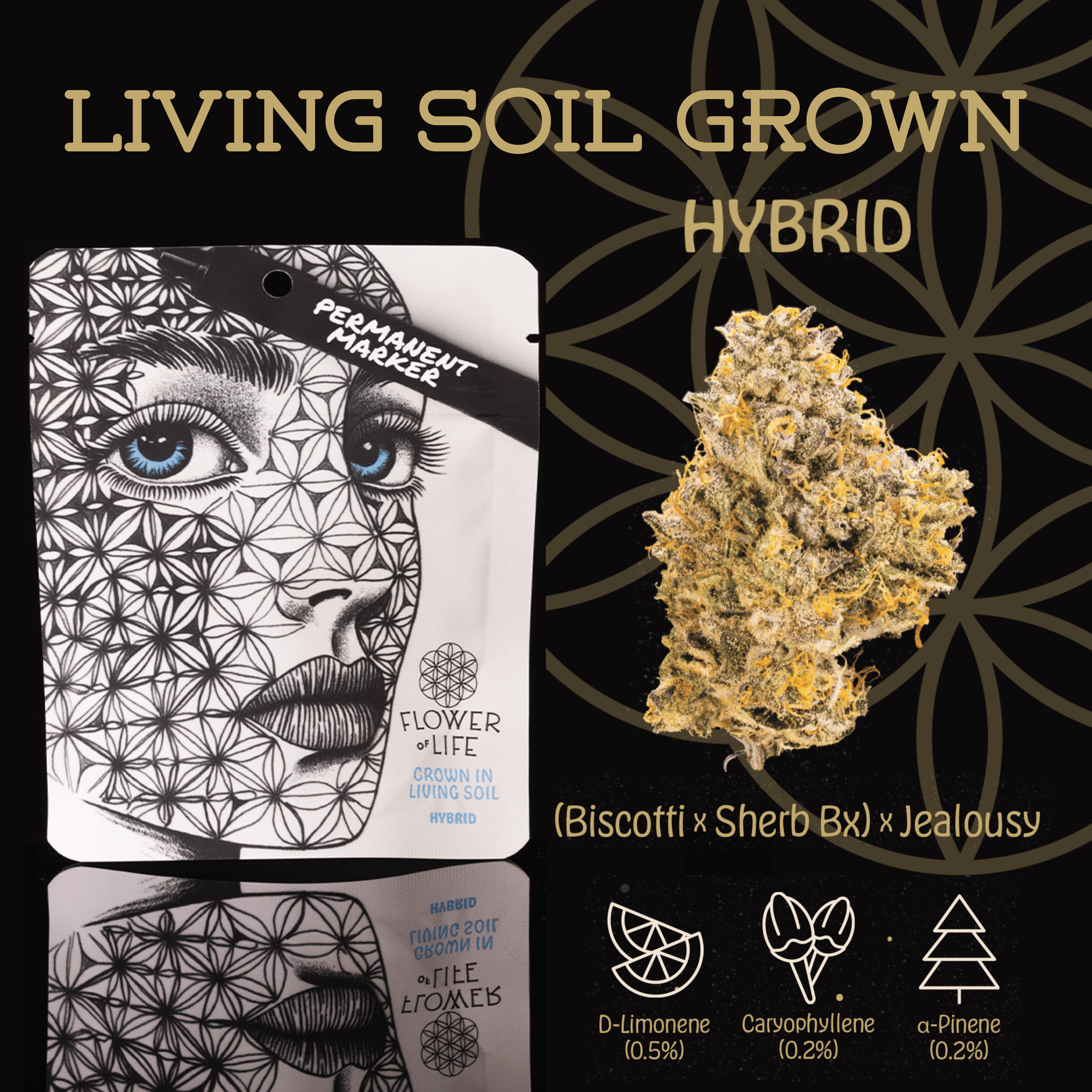 Photograph of product: Permanent Marker | Pre-Roll | 1g