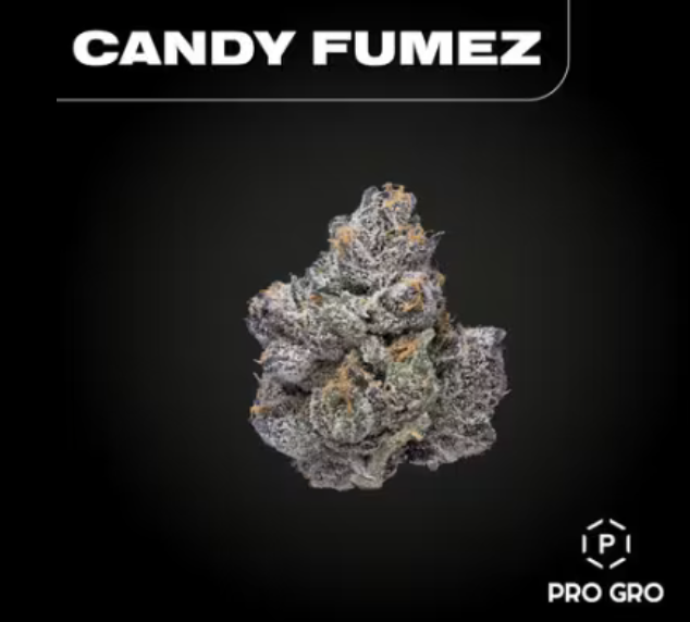 Photograph of product: Candy Fumez | Bulk Flower | Platinum Tier - 28g