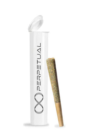 Photograph of product: Perpetual All Time High Preroll