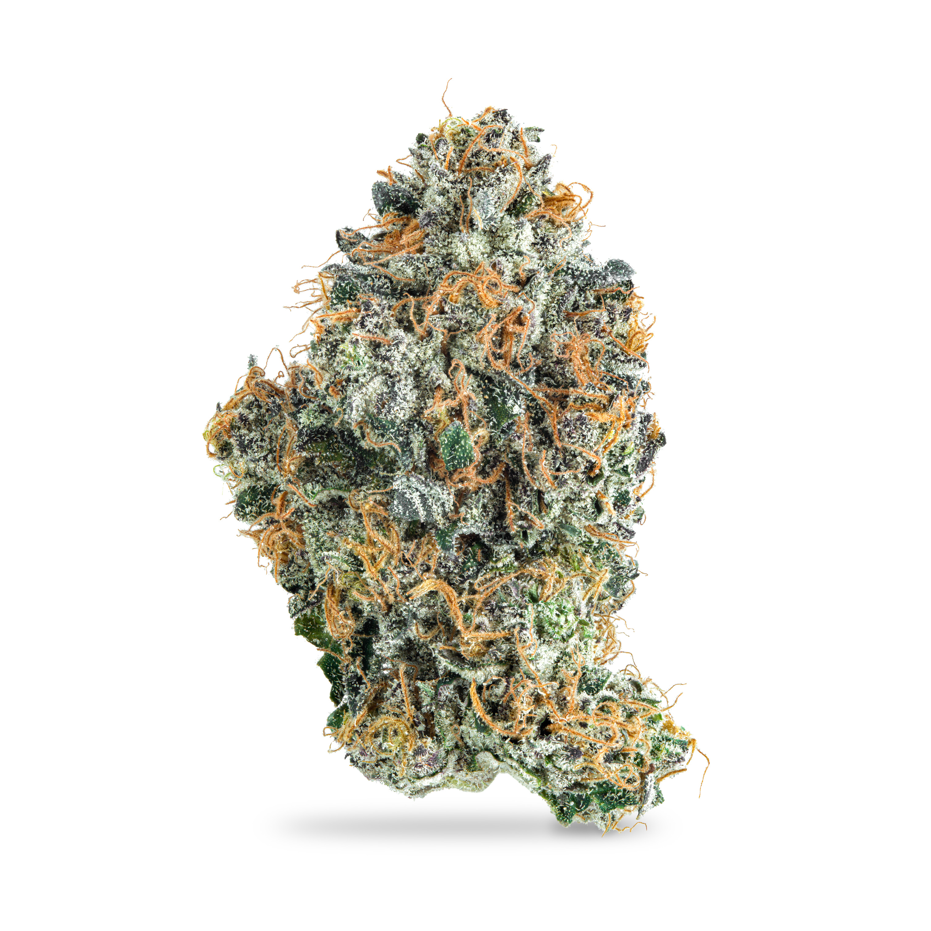 Photograph of product: Black Maple - 3.5g