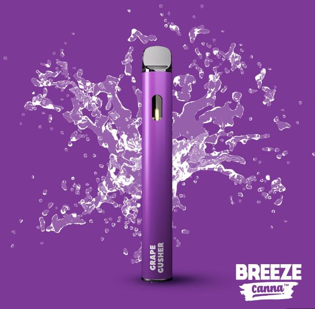 Photograph of product: Breeze: Grape Gusher 1G Disposable Vape