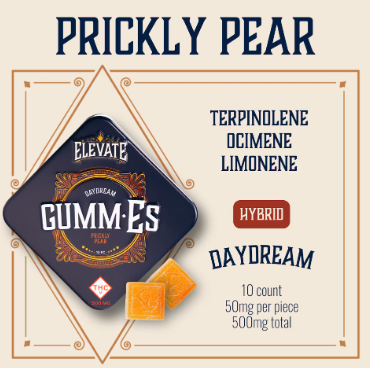 Photograph of product: 500mg Gummies | Prickly Pear (Hybrid)