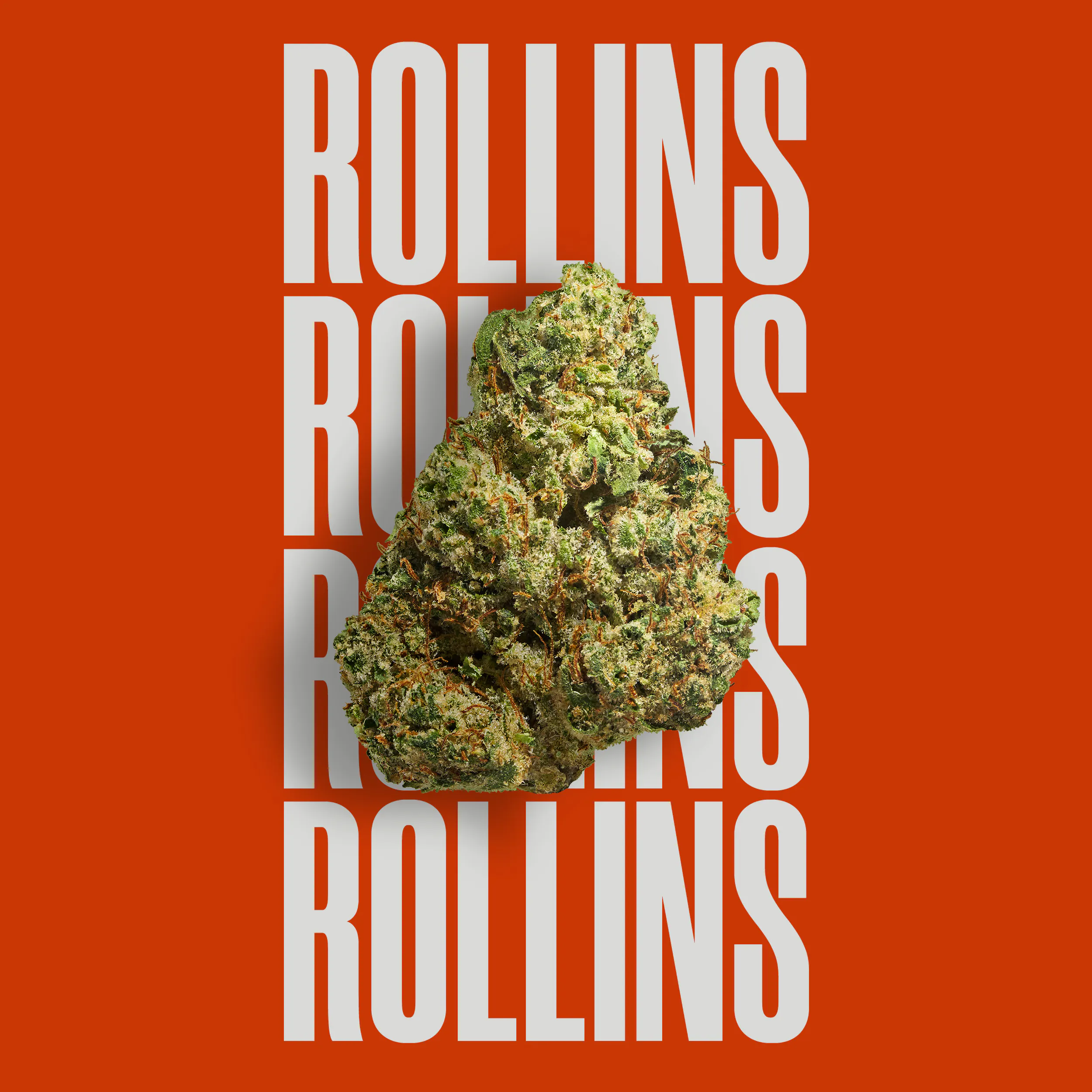 Photograph of product: Flower | Rise | Rollins - 3.5g