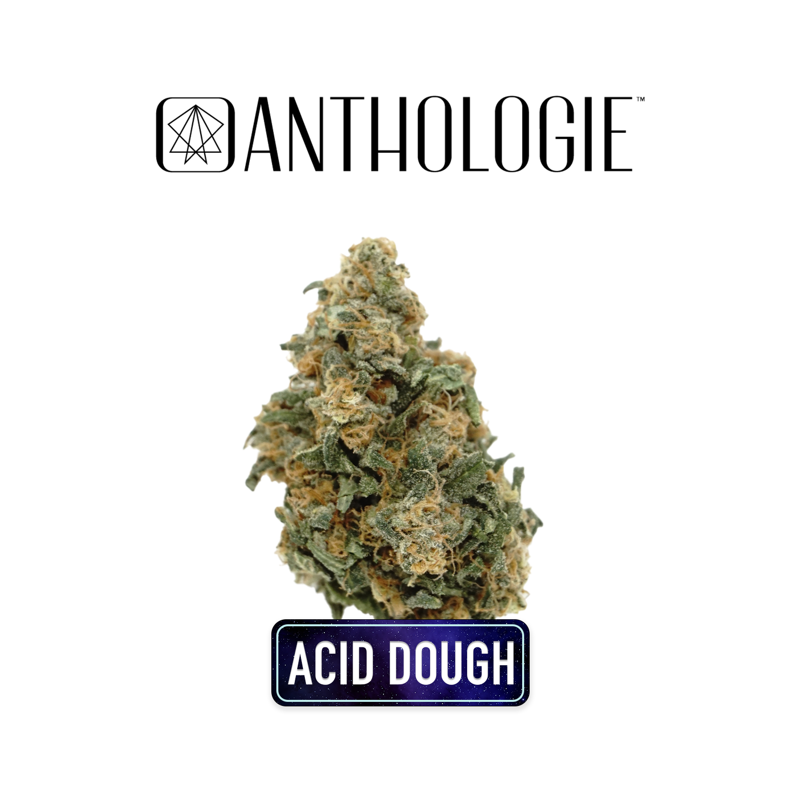 Photograph of product: Acid Dough Buds | 7g