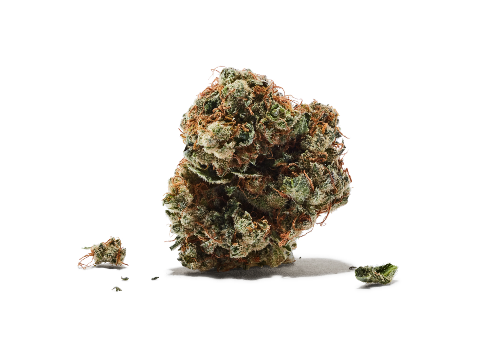 Photograph of product: Sour Tsunami-High CBD Flower - 28g
