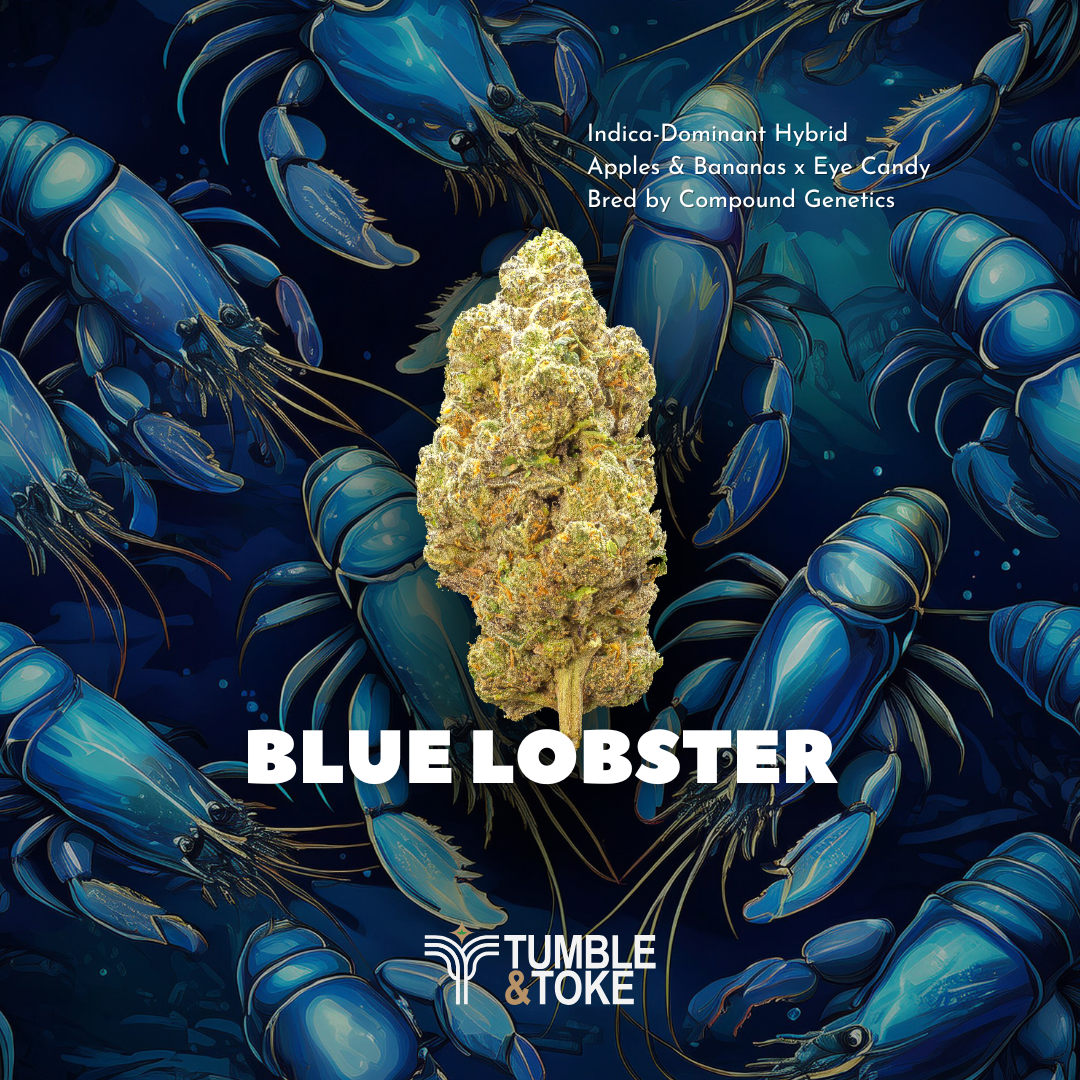 Photograph of product: Blue Lobster | Flower | 14g | By Tumble & Toke