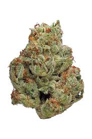 Photograph of product: OG Gardens - New Goo - 28g