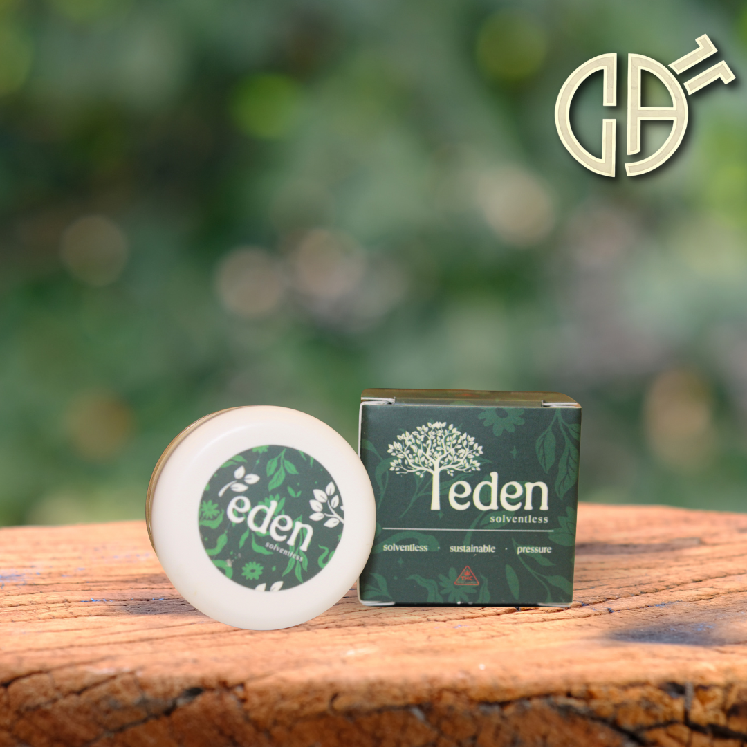 Photograph of product: Eden | Guava Cooler Moroccan au chocolat