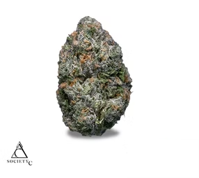 Photograph of product: Gelato Cake | Society C - 28g