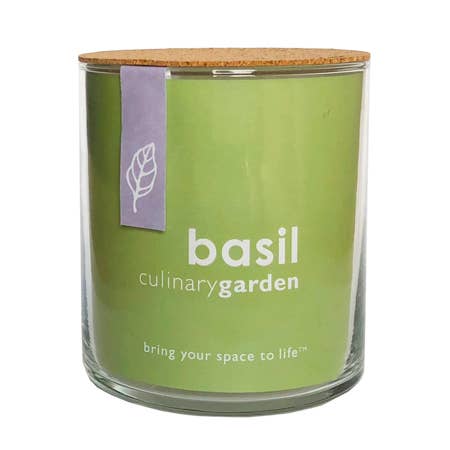 Photograph of product: Potting Shed Creations- Essential - Basil Culinary Indoor Garden