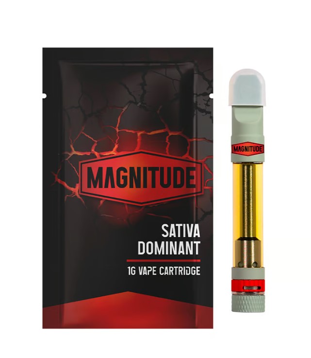 Photograph of product: PC Magnitude | Dutch Treat Haze (S) | 1g Cartridge